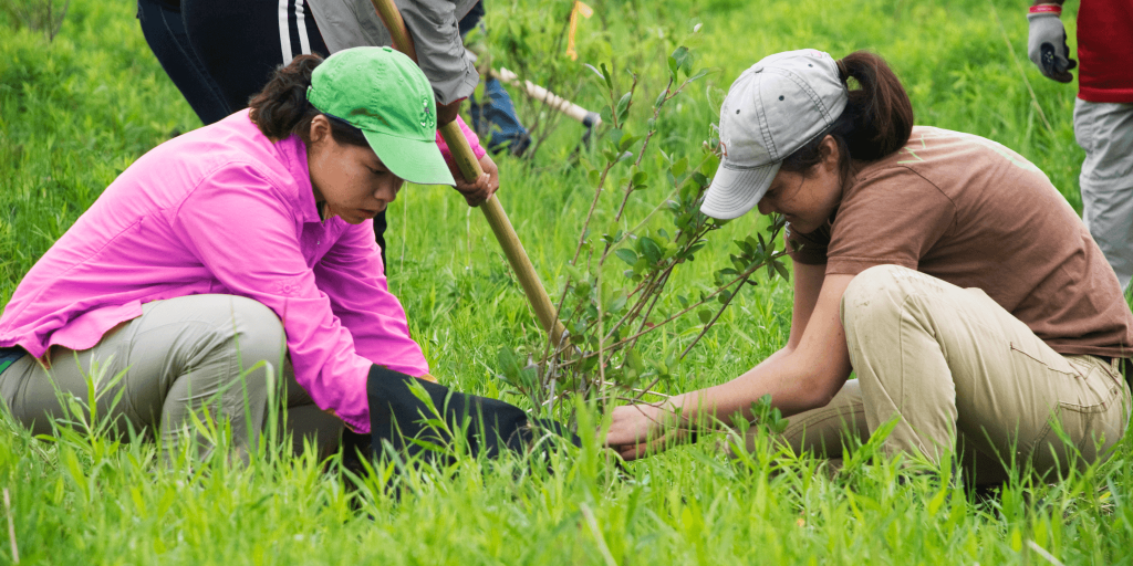 Youth working together to plant a tree.