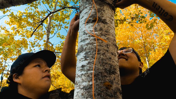 Deux individus attachant une corde autour d'un arbre