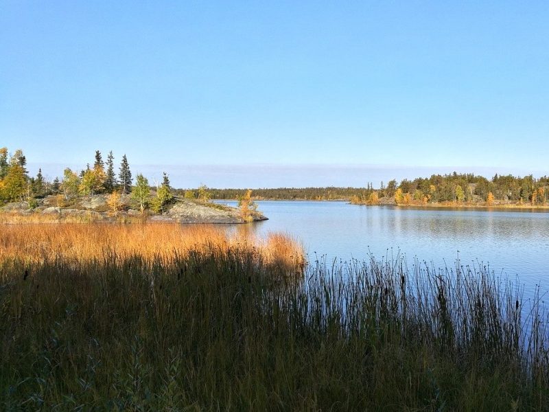 Yellowknife Northwest lake and forrest.