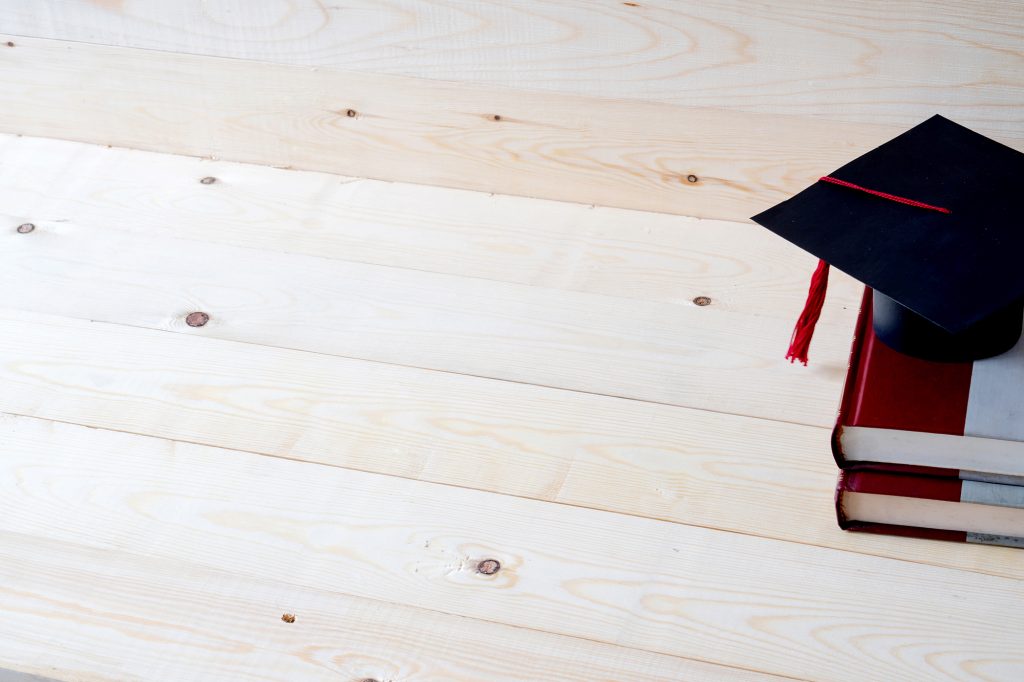 Leveraging the Skills of Social Sciences and Humanities Graduates