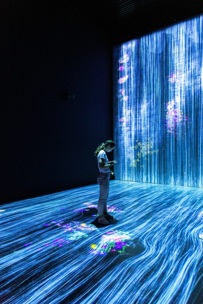 Technology-Enabled Innovations in the Skills and Employment Ecosystem