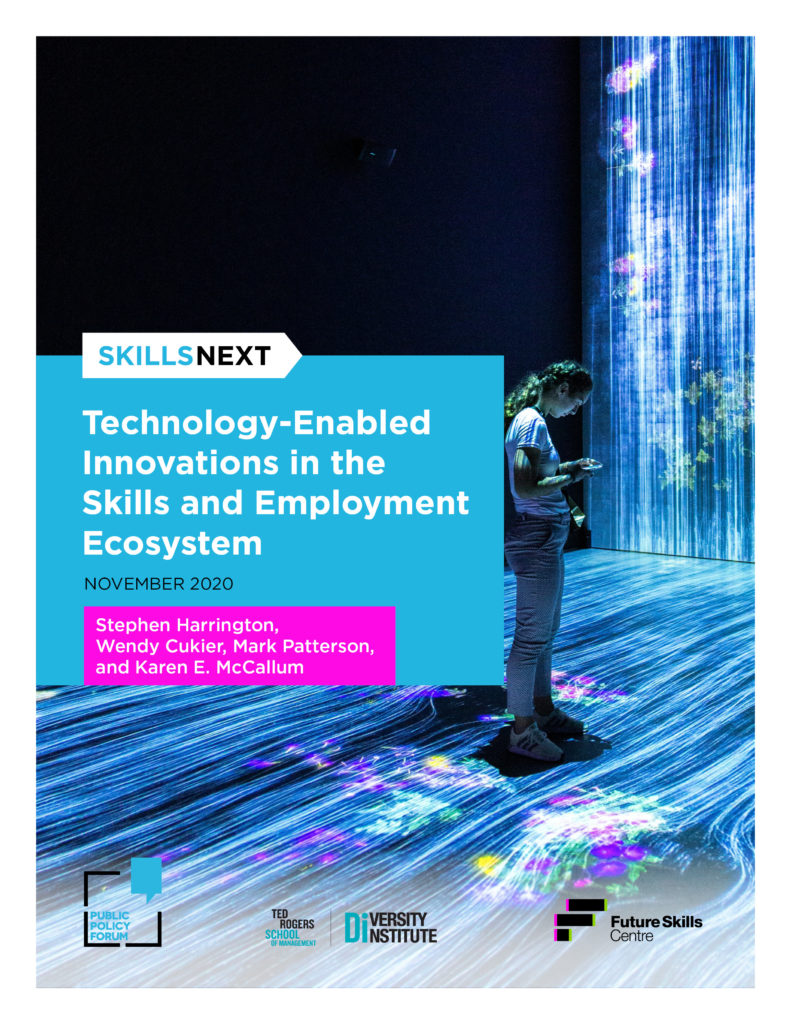 Report cover of the Skills Next report Technology-enabled innovations in the skills and employment ecosystem