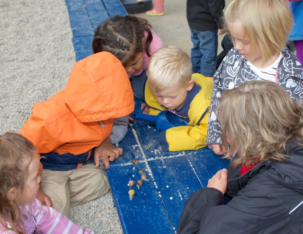 Young children looking at snails outside.