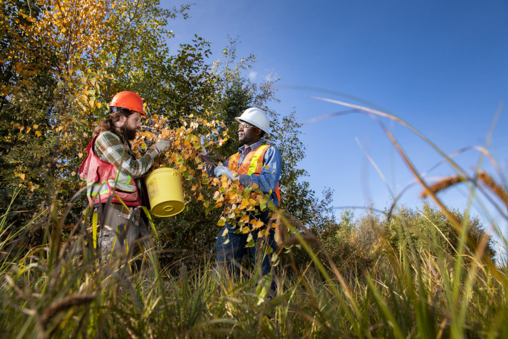 Forestry skills through immersive education for rural and remote communities