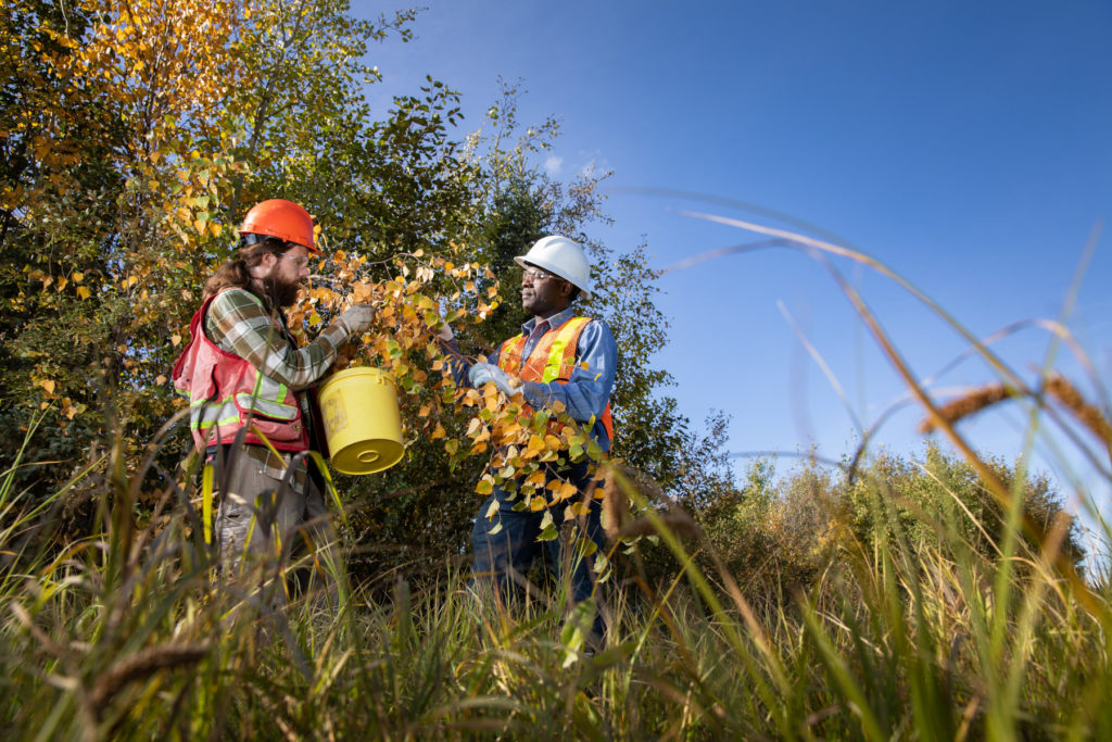 Two men in nature inspecting leaves.