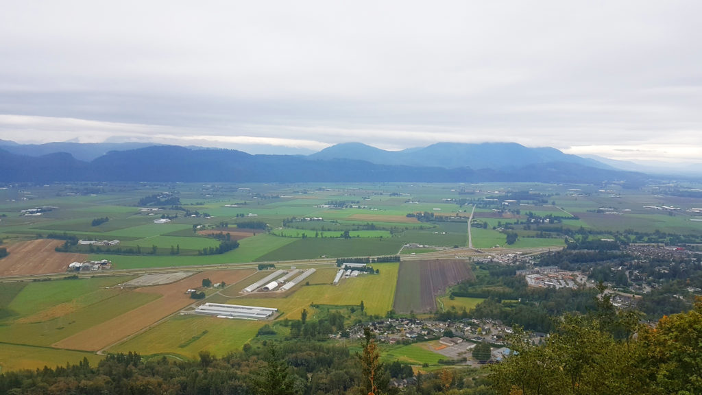 Image of Fraser Valley Farmland.