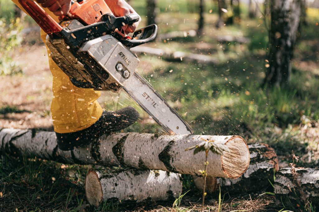 Saskatchewan’s Forest Sector: Future Skills for an Indigenous-Led Revitalization