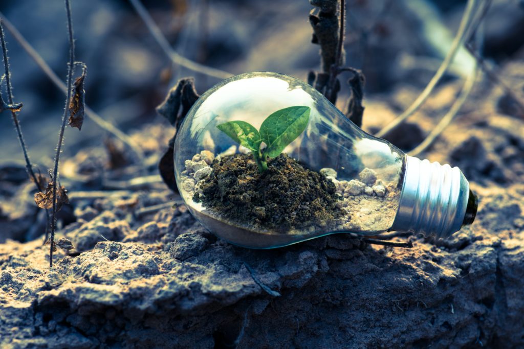 Green occupations pathways: from vulnerable jobs to rapid-growth careers