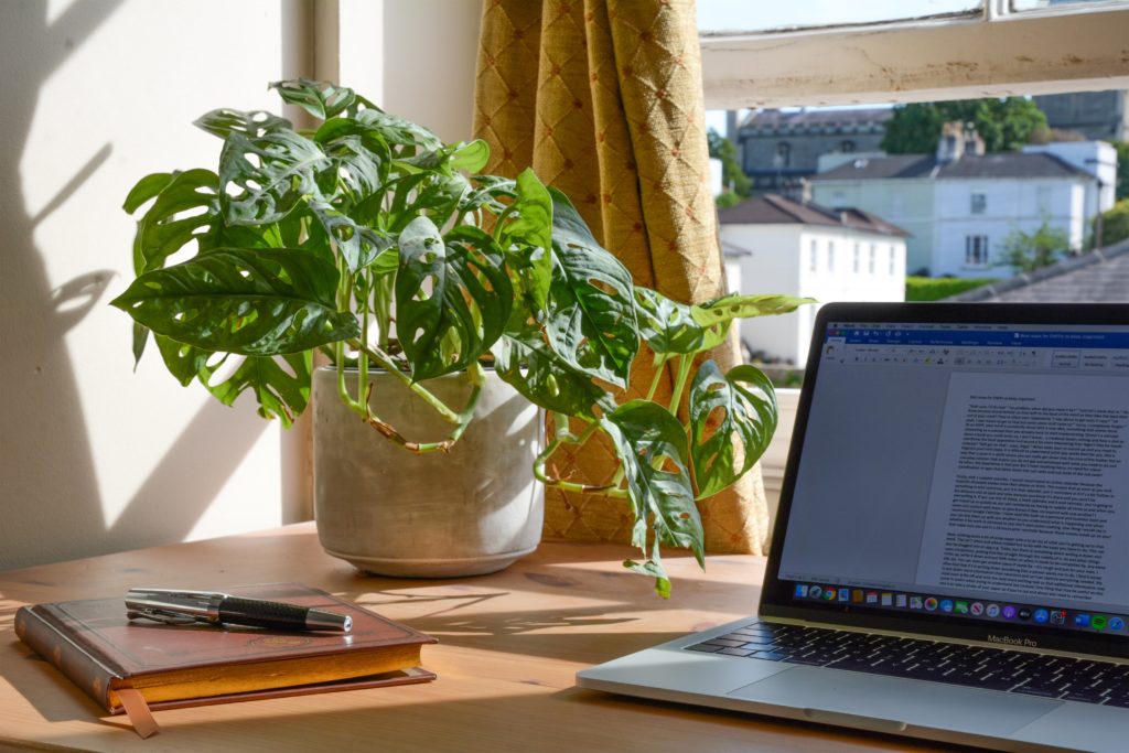 A work-from-home set up with an office plant and computer