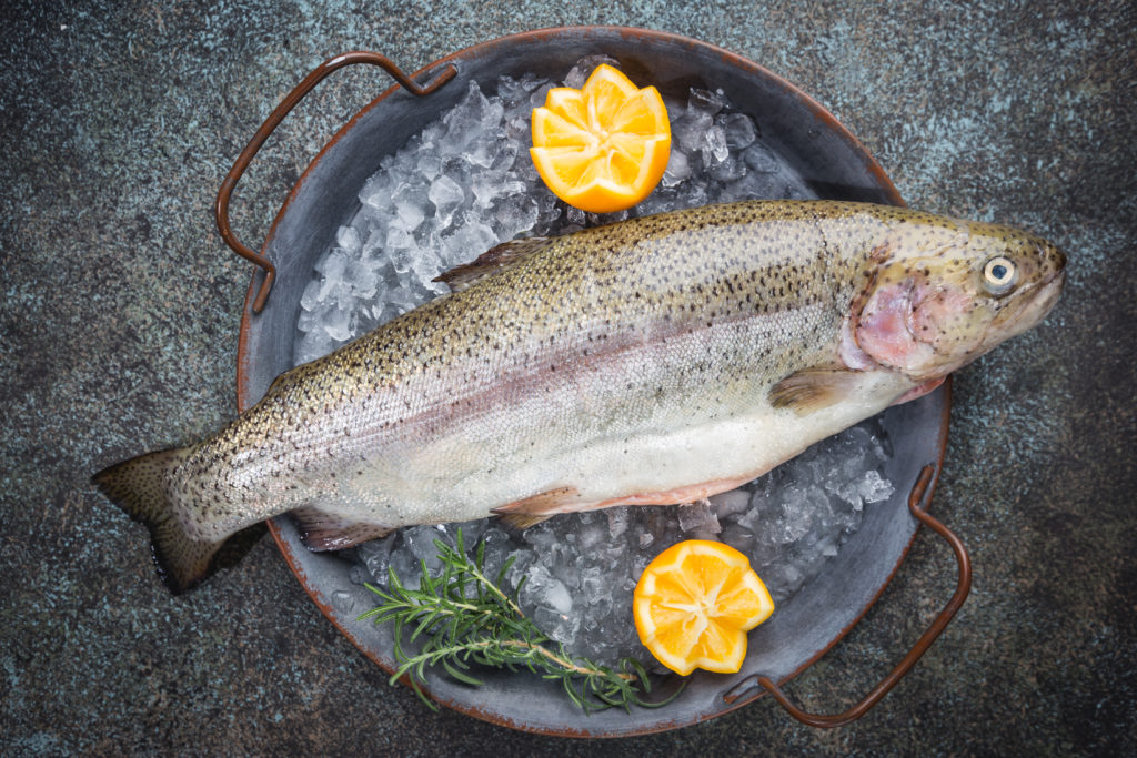 Raw trout fish on ice with rosemary and lemon over stone dark background , top view