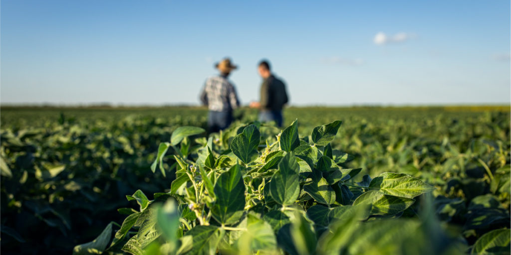 Skills needs for workers in the growing plant-based protein industry in Manitoba and Saskatchewan