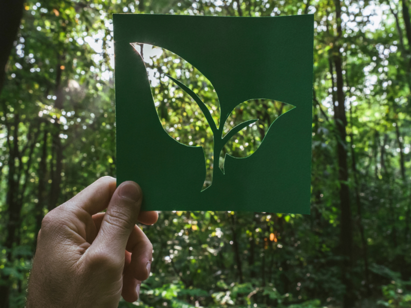 Nature-Based Solutions for Canada’s Environmental Sector: Harnessing the Power of Nature to Solve Future Challenges’