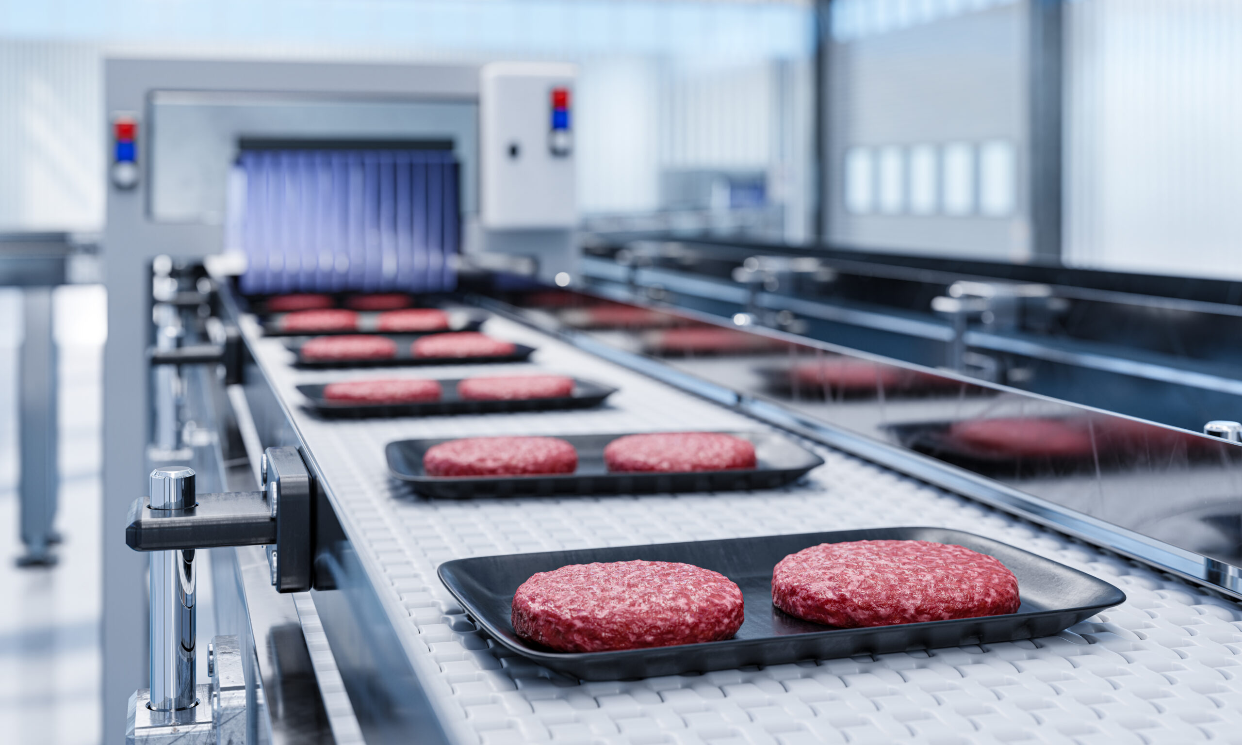 Conveyor in a factory of ready-made beef hamburger cutlets