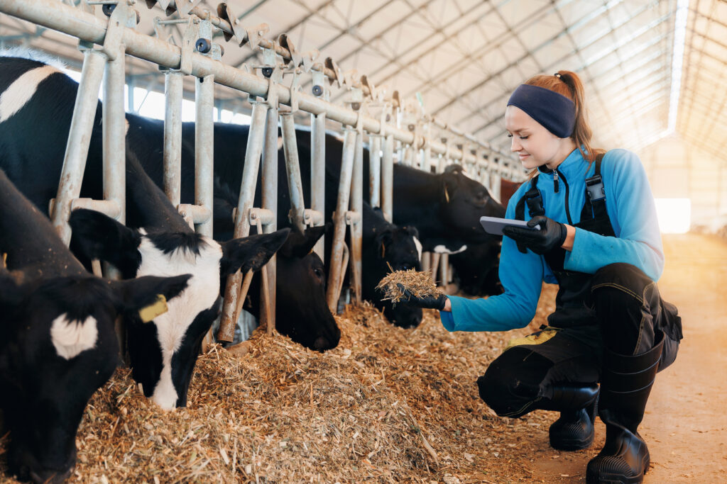From Knives to Knobs: Sustainability and Smart Skills in Meat Value Chains