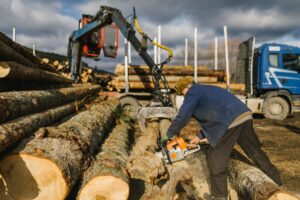 Worker cutting timber