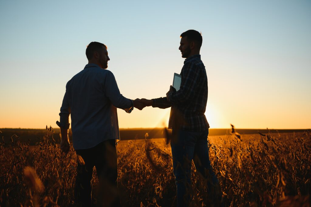 Two farmers examining soy crops