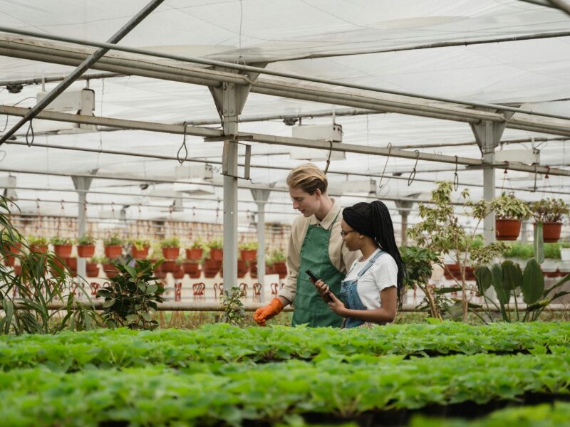 two people walking in an innovative organic garden