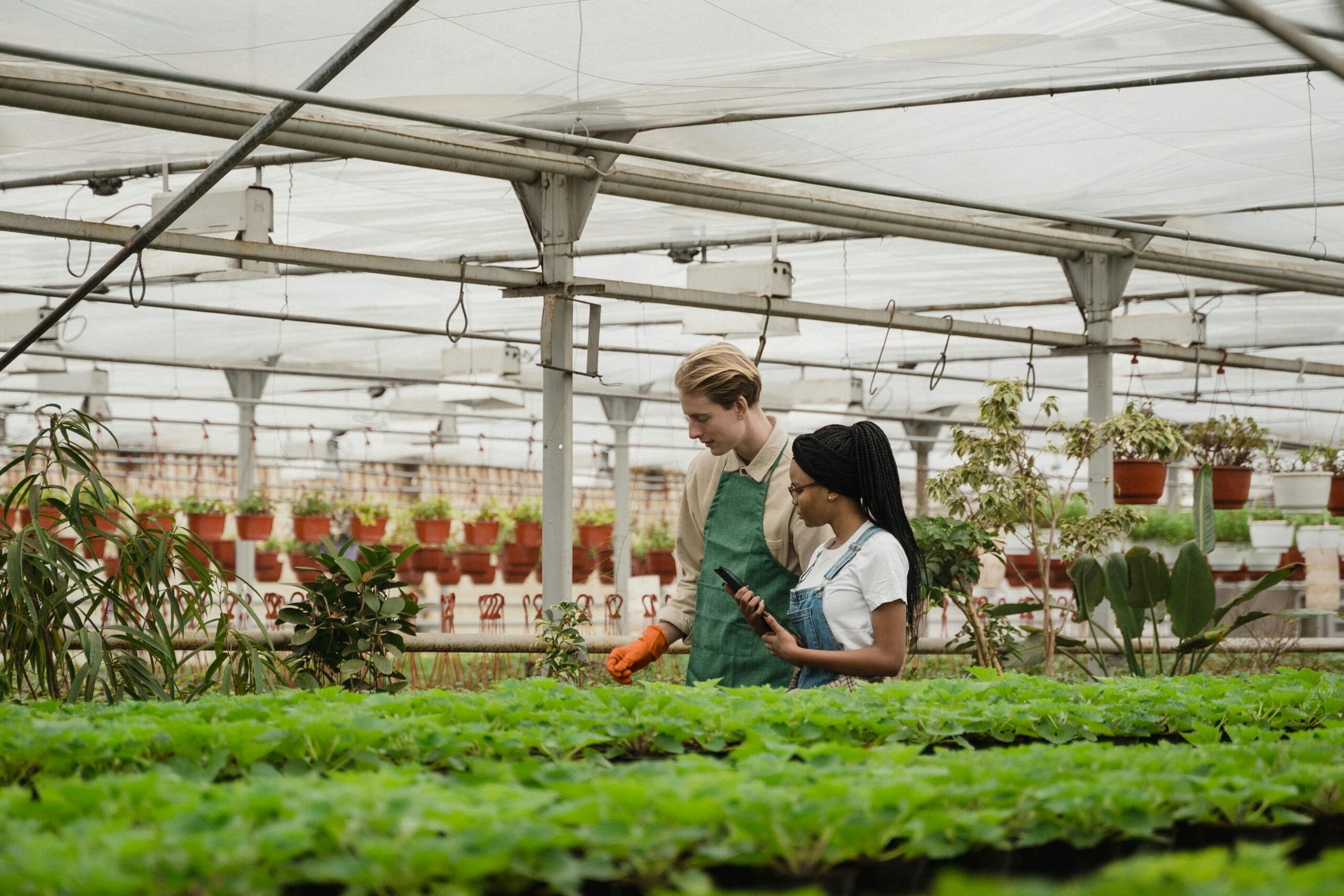 two people walking in an innovative organic garden