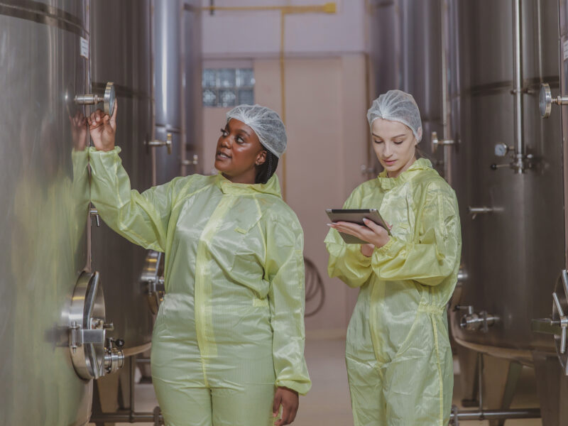 Workers working in modern large winery factory